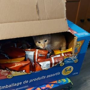 Meet your Posher, Kimmie